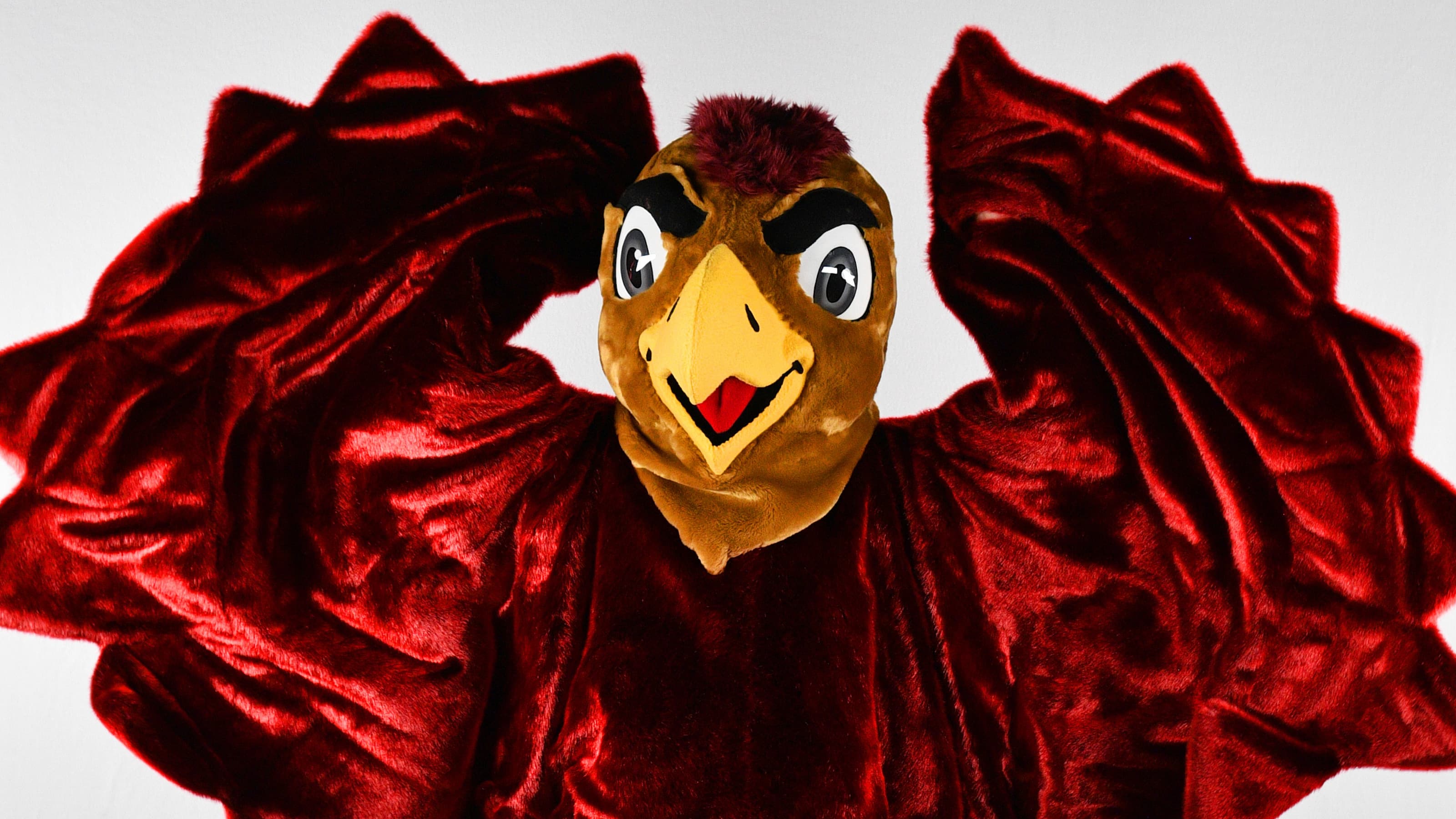 On August 25, 2023, Saint Joseph's University revealed an updated version of the Hawk mascot on social media. Along with the customary brown tail and legs, The Hawk features a new-look wingspan that showcases the iconic flapping, along with a vivid and photogenic face.